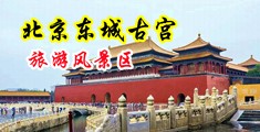 男子操B女子AV中国北京-东城古宫旅游风景区